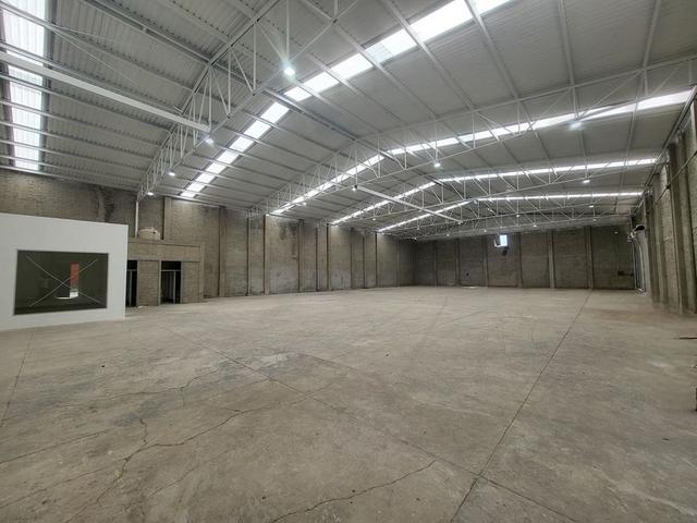 Foto de la galeria de imagenes